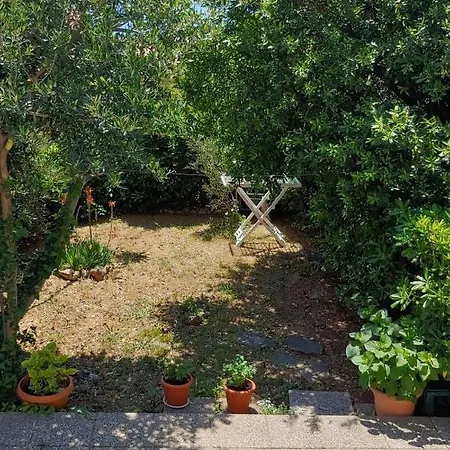 With A Parking Space Bol, Brac - 2921 Appartement Bol